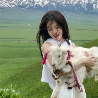 麦兜·当当伴我心